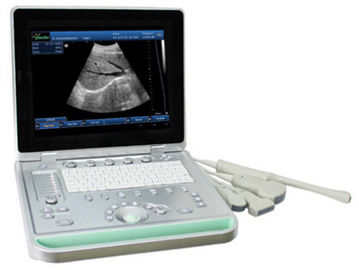 3D Digital B / W portabel Ultrasound Scanner dengan cembung linier Transvaginal probe