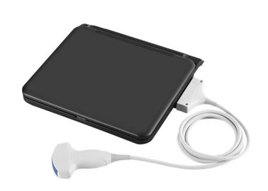 12 Inch LED Diagnostik Medis Ultrasound Laptop Ultrasound Scanner Dengan Satu Probe Connect Vet Software Tersedia