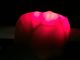 Transilluminator Vein Locator Infrared Vein Finder Keselamatan LED Lampu Merah