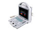 10,4 Inch Portable Color Doppler Machine Ultrasound Scanner Dengan Resolusi Tinggi