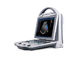 Mesin Full Digital Color Doppler Ultrasound Scanner Dengan Monitor 10.4 Inch Angle Adjustable
