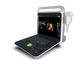 4 D 15 Inch LED Diagnostic Color Doppler Ultrasound Scanner Dengan 2 Konektor Probe
