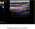 Perangkat Diagnostik Ultrasonik Ipad Scanner Ultrasound Portabel dengan Penyimpanan Gambar 500G