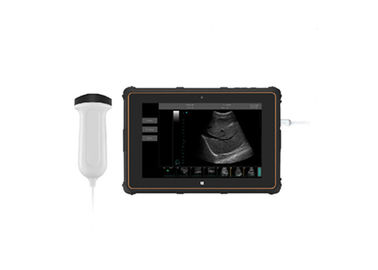 B Ultrasound Scanner Portable Ultrasound Scanner dengan B, B + B, B + M Mode Koneksi USB