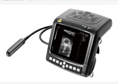 Handheld Vet B / W Ultrasound Scanner Alat Diagnostik Multi-Frekuensi Probe