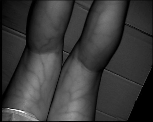 Resolusi Tinggi 800X480 Tabel Jenis Perangkat Vein Locator Dengan Layar 3.5Inch Untuk Kaki Lengan Tangan