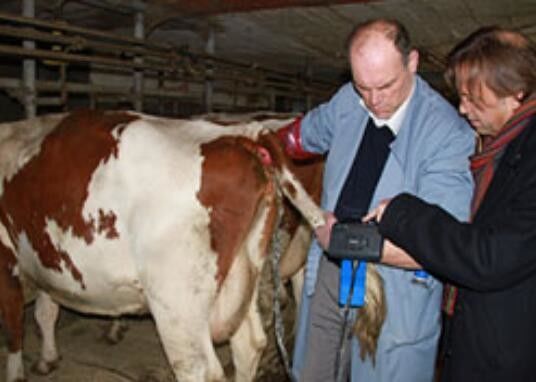 Pemindai Ultrasonografi Veteriner Digital