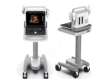 B ZOOM Portabel Color Doppler Ultrasound Scanner Machine Port USB